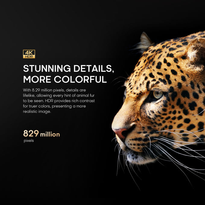 9. Syinix 55'' UHD 4K Google TV Home cinema experience U61G series